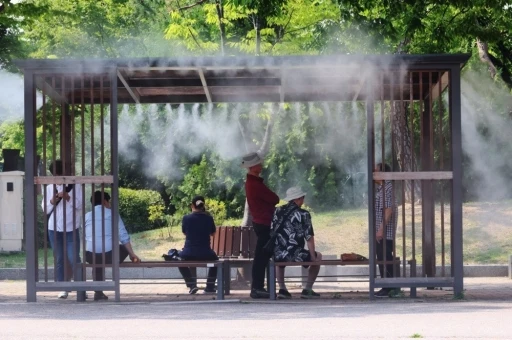 Güney Kore’de aşırı sıcaklardan 7 kişi hayatını kaybetti
