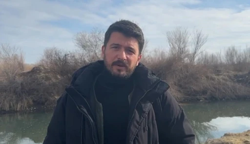 G&uuml;neye u&ccedil;an pelikan s&uuml;r&uuml;s&uuml; şaşırttı
