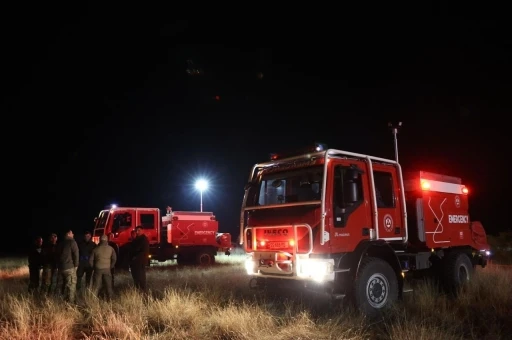 Gürcistan İçişleri Bakanı Geladze, Türkiye’ye ait asker kargo uçağının düştüğü bölgede

