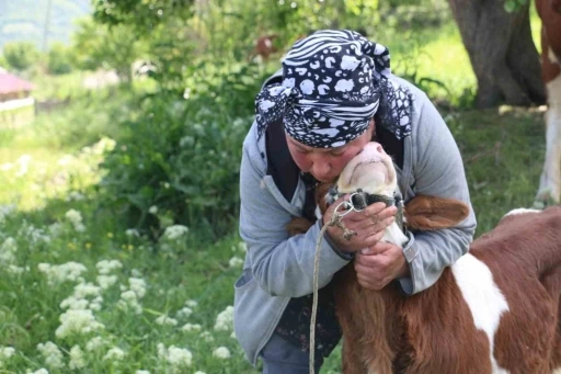 Gürcistanlı Nino, Erzincan çiftçiliğine renk katıyor

