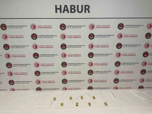Habur&rsquo;da tırda yapılan aramada, yaklaşık 14.6 milyon liralık altın ele ge&ccedil;irildi
