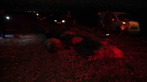 Hafif ticari ara&ccedil; s&uuml;r&uuml;ye daldı, 10&rsquo;dan fazla koyun telef oldu
