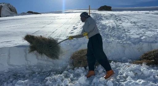 Hakkari&rsquo;de 1 bu&ccedil;uk metreyi aşan karda &ccedil;ift&ccedil;ilerin zorlu mesaisi s&uuml;r&uuml;yor
