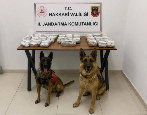 Hakkari&rsquo;de 21 kilo 650 gram toz esrar ele ge&ccedil;irildi
