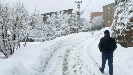Hakkari&rsquo;de 310 yerleşim yeri ulaşıma a&ccedil;ıldı
