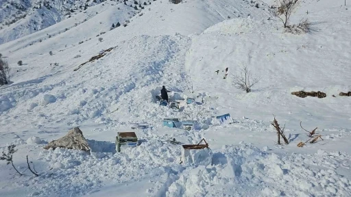Hakkari&rsquo;de 32 arı kovanı &ccedil;ığ altında kaldı
