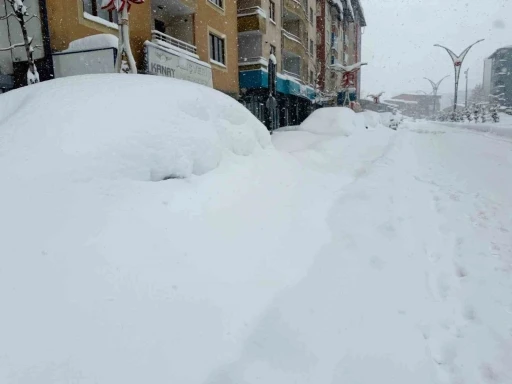 Hakkari&rsquo;de 357 yerleşim yerinin yolu kapandı
