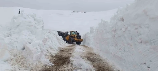 Hakkari&rsquo;de 46 yerleşim yolu ulaşıma kapandı
