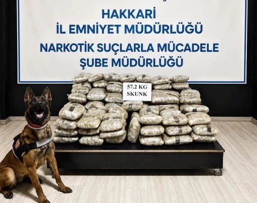 Hakkari&rsquo;de 57 kilo 200 gram skunk ele ge&ccedil;irildi
