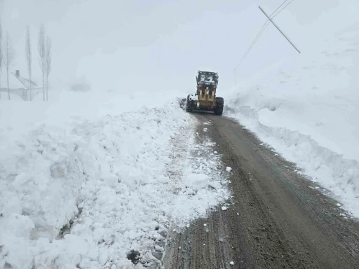 Hakkari&rsquo;de 61 yerleşim yerinin yolu kapandı

