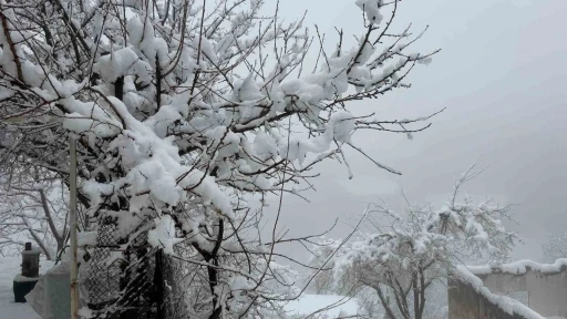 Hakkari&rsquo;de 82 yerleşim yerinin yolu kapandı
