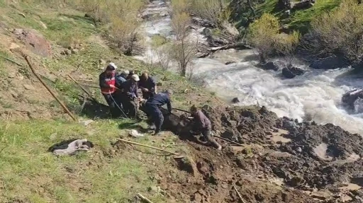 Hakkari&rsquo;de bataklığa saplanan inek kurtarıldı
