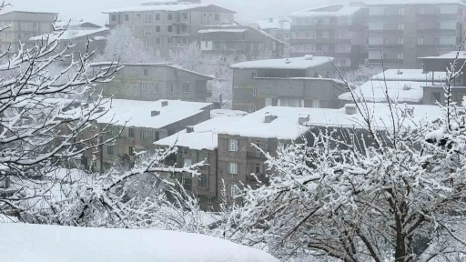 Hakkari&rsquo;de kar yağışı
