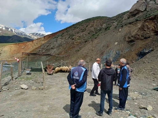 Hakkari&rsquo;de Kurban pazarı hareketlendi
