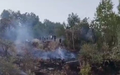Hakkari’de ormanlık alanda yangın
