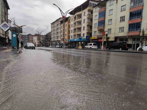 Hakkari’de sağanak yağış ve dolu etkili oldu
