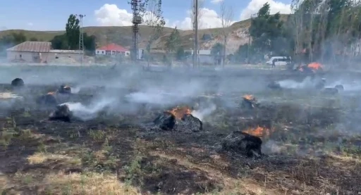 Hakkari’de yaklaşık bin 500 bağ ot kül oldu
