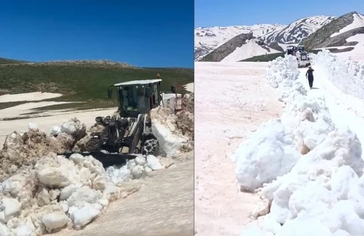 Hakkari&rsquo;de yaz g&uuml;n&uuml; 3 metreyi bulan karda yol a&ccedil;ma &ccedil;alışması
