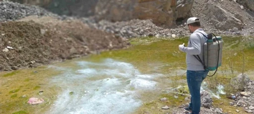 Yaz Öncesi Larva Alarmı