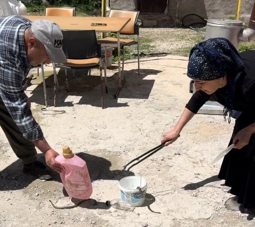 Hakkarili aile iki yıldır yılanlarla yaşıyor
