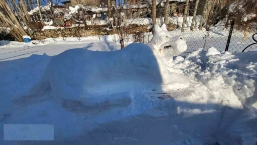 Hakkarili gen&ccedil;ten kardan kangal k&ouml;peği fig&uuml;r&uuml;
