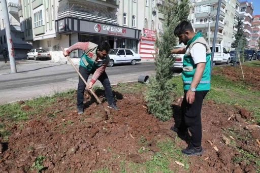 Haliliye&rsquo;de yaz &ouml;ncesi parklarda hummalı &ccedil;alışma
