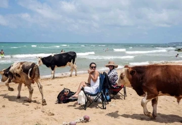 Halk plajları doldu, ’beach’lerde şezlonglar boş kaldı
