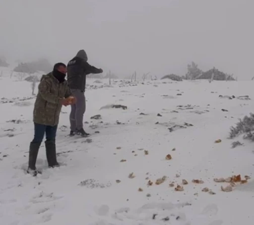 Halkapınar&rsquo;da kar yağışı etkili oluyor
