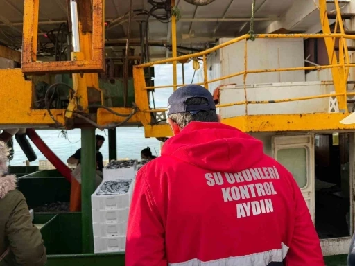Hamsi kotası i&ccedil;in Didim&rsquo;de denetim yapıldı
