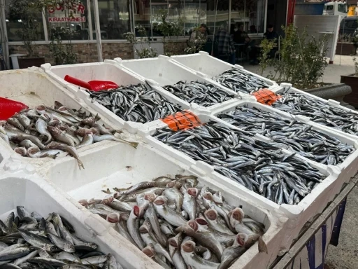 Hamsi yeniden tezgahlarda, 200 liradan alıcı buluyor
