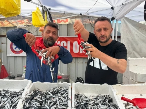 Hamsinin fiyatı 70 liraya indi, tezgahlar şenlendi

