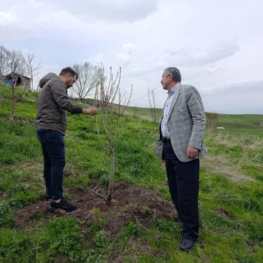 Hamur’da Çiftçilere budama ve aşılama eğitimi verildi
