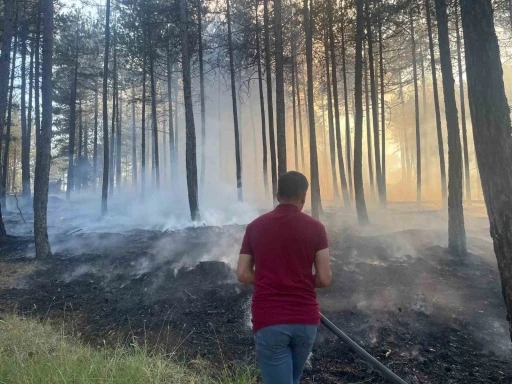 Hanönü’de çıkan orman yangını söndürüldü
