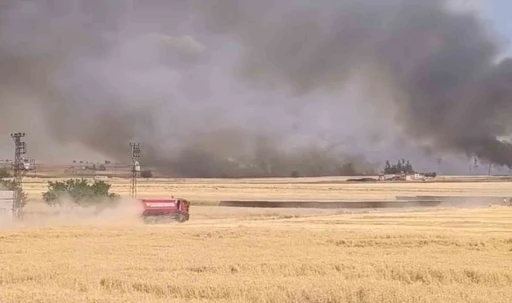 Harran&rsquo;da y&uuml;zlerce d&ouml;n&uuml;ml&uuml;k ekili arazi yandı
