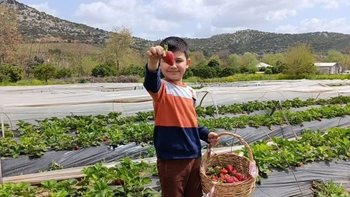 Hasadı &ccedil;ift&ccedil;i değil, vatandaş yaptı
