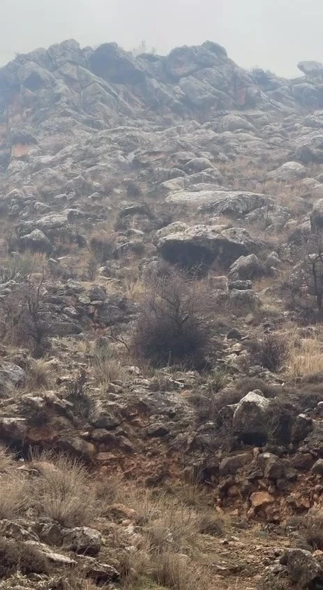 Hasankeyf&rsquo;te &ouml;rnek davranış: S&uuml;r&uuml;c&uuml; durdu, dağ ke&ccedil;ileri ge&ccedil;ti
