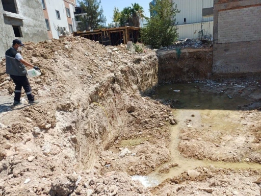 Haşereyle mücadele aralıksız devam ediyor
