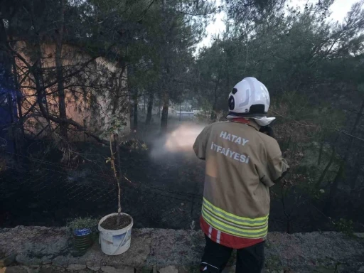 Hassa&rsquo;da &ccedil;amlık alan yangını
