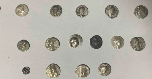 Hatay’da 26 sikke kargo ile göndermek üzereyken ele geçirildi
