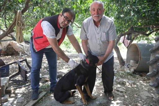 Hatay’da 4 mahallede kuduz karantinası
