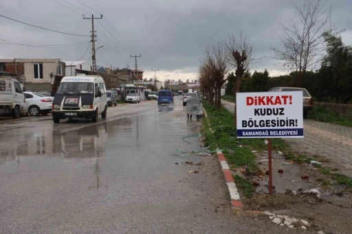 Hatay&rsquo;da 4 mahalleye kuduz karantinası
