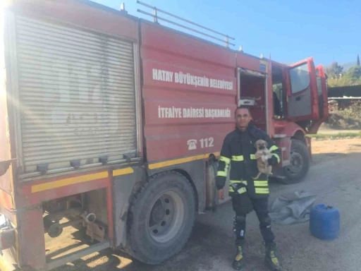 Hatay’da 6 metrelik çukurda mahsur kalan yavru köpeği itfaiye kurtardı
