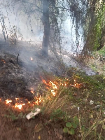 Hatay’da çıkan orman yangını itfaiye ekibi tarafından söndürüldü

