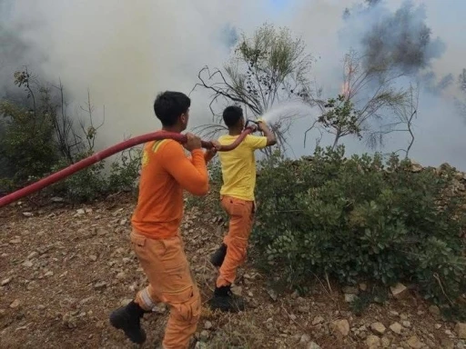 Hatay’da çıkan orman yangını kısa sürede kontrol altına alındı
