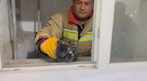 Hatay&rsquo;da havalandırma boşluğuna d&uuml;şen yavru kedi kurtarıldı
