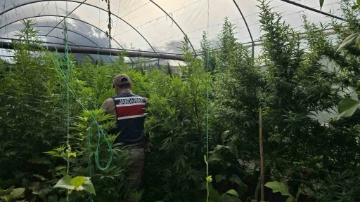 Hatay’da jandarma ekipleri 83 şahsın evinde ve iş yerinde arama yaptı
