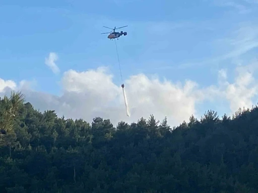 Hatay’da orman yangını
