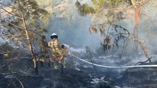Hatay’da orman yangını

