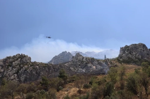 Hatay’da orman yangını
