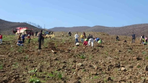 Hatay&rsquo;da orman yangınından zarar g&ouml;ren alanlarda 5 bin fidan toprakla buluşturuldu
